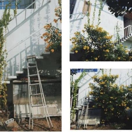 Villa Đảo Hoa Vàng Cam Ranh - Venue Travel Exterior foto